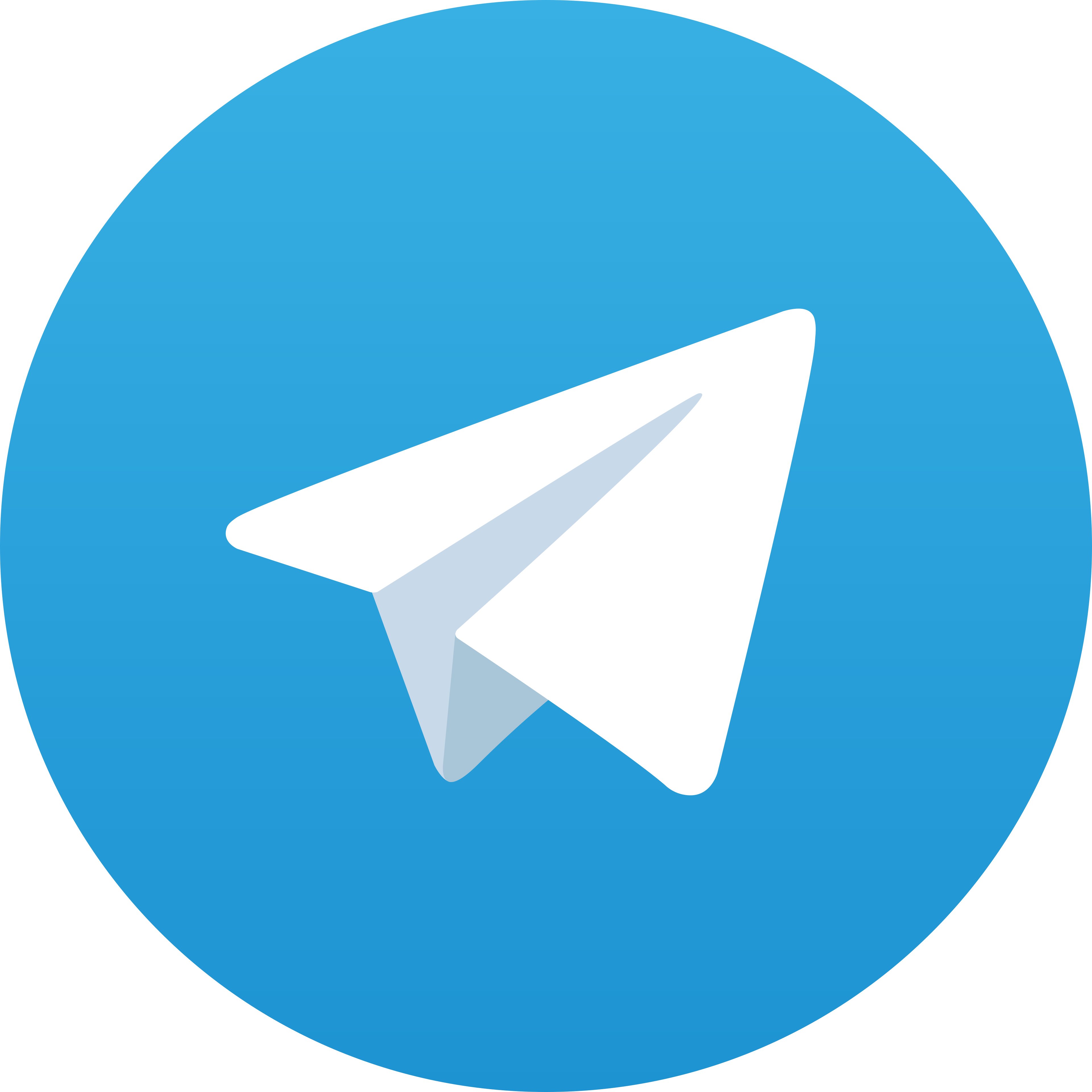 Telegram Indo31